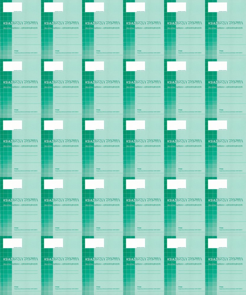 60x Druk akcydensowy Książeczka zdrowia dla celów sanitar-epidemiol. MiP 530-5, A6,offsetowy,8k