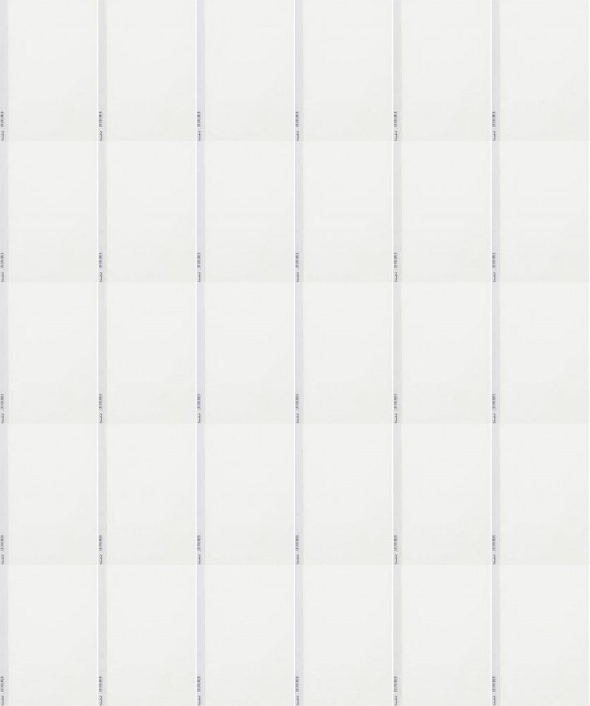 30x Skoroszyt plastikowy oczkowy Biurfol,twardy, A4, biały