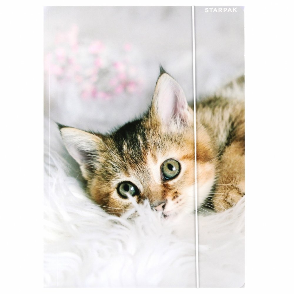 Teczka z gumką Starpak Kotki, A4, mix wzorów