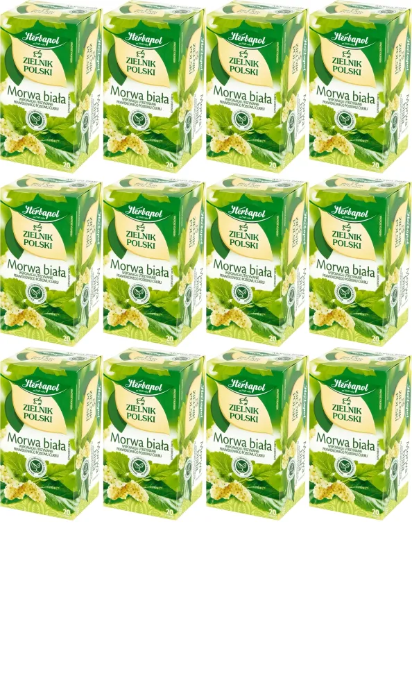 12x Herbata ziolowa w torebkach Herbapol Zielnik polski, morwa biała, 20 sztuk x 2g