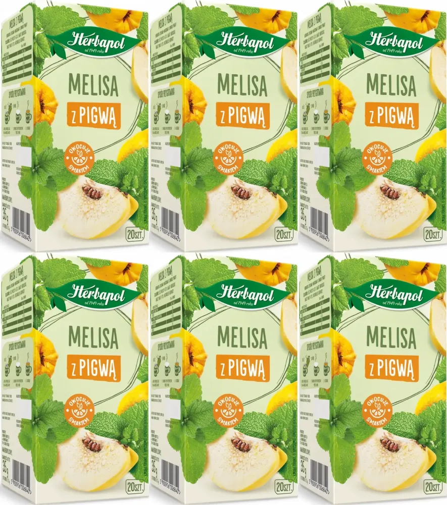6x Herbata ziołowa w torebkach Herbapol Zielnik Polski, melisa z pigwą, 20sztuk x1.75 g