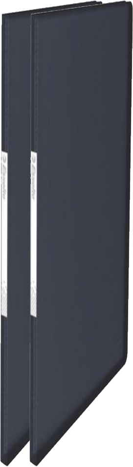 2x Album ofertowy Esselte Vivida, A4, 40 koszulek, czarny