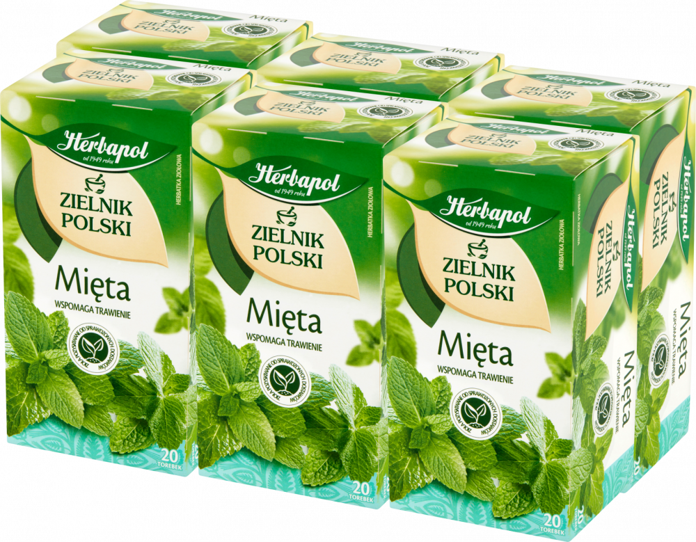 6x Herbata ziołowa w torebkach Herbapol Zielnik Polski, mięta, 20 sztuk x 2g
