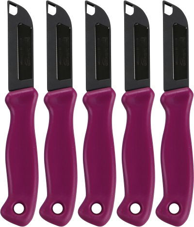 5x Nożyk kuchenny Formson Solingen mały, 15.5x2.5cm, mix kolorów