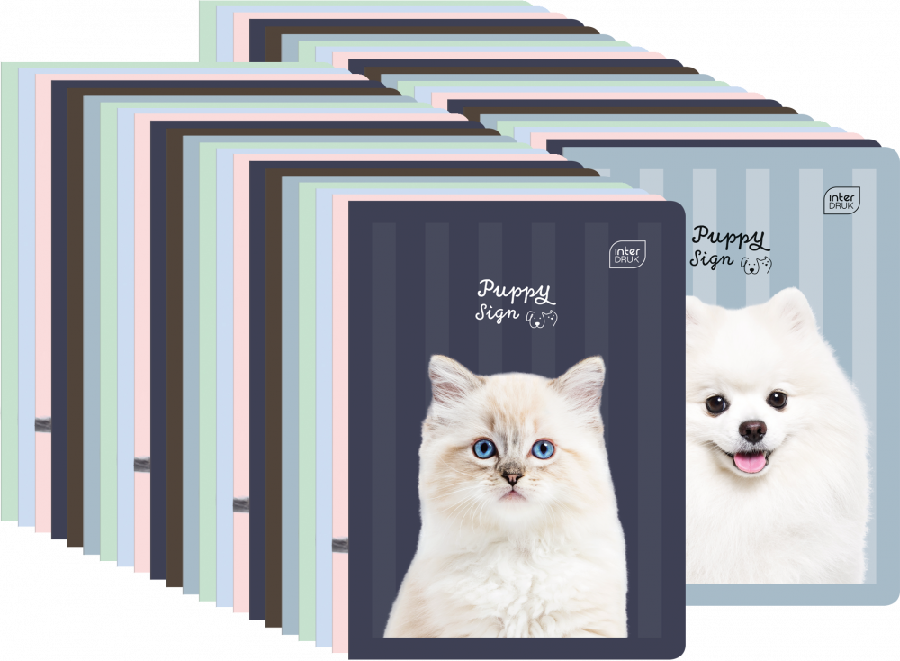 200x Zeszyt w wąskie kolorowe linie Interdruk UV Puppy Sign, A5, 16 kartek, mix wzorów
