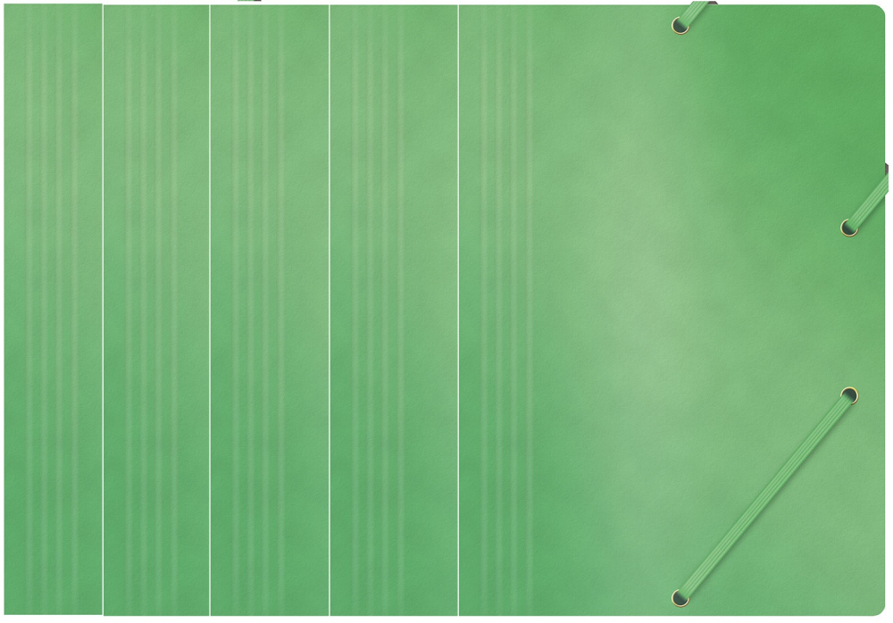 5x teczka z gumką Office Products, A4, 390g/m2, preszpanowa, zielony