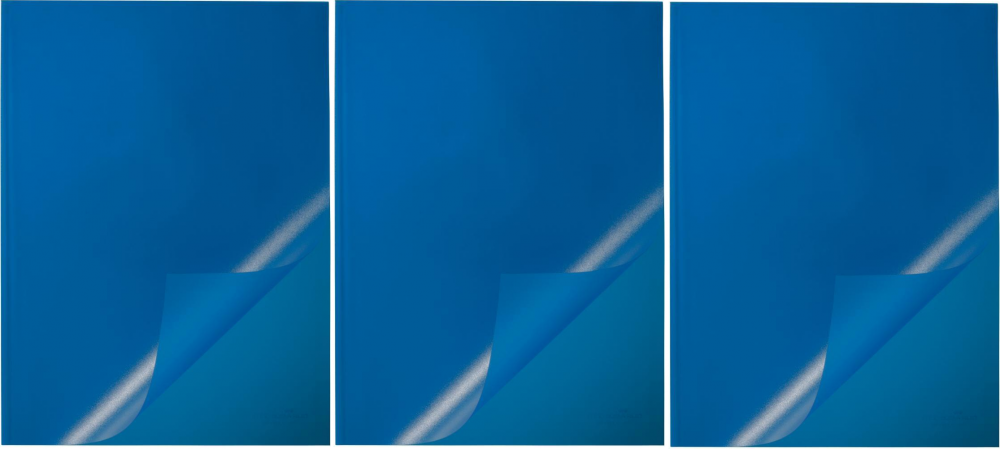 3x okładka do grzbietów wsuwanych Durable, A4, do 100 kartek, niebieski