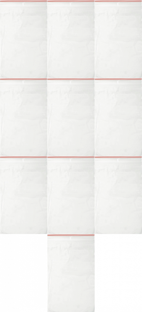 10x Woreczki strunowe Emerson, 160x220mm, 100 sztuk, bezbarwny
