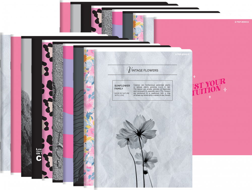 20x Zeszyt w kratkę TOP 2000 Megamix, A5, 60 kartek, mix wzorów 1