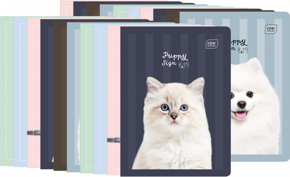 20x Zeszyt w wąskie kolorowe linie Interdruk UV Puppy Sign, A5, 16 kartek, mix wzorów