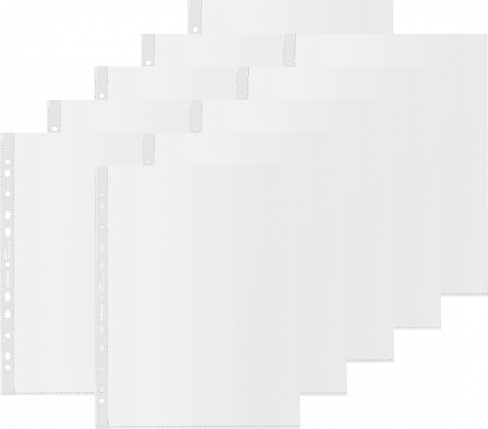 2x Koszulki groszkowe Esselte Recycle Premium, A4 maxi, 100 μm, 100 sztuk, transparentny