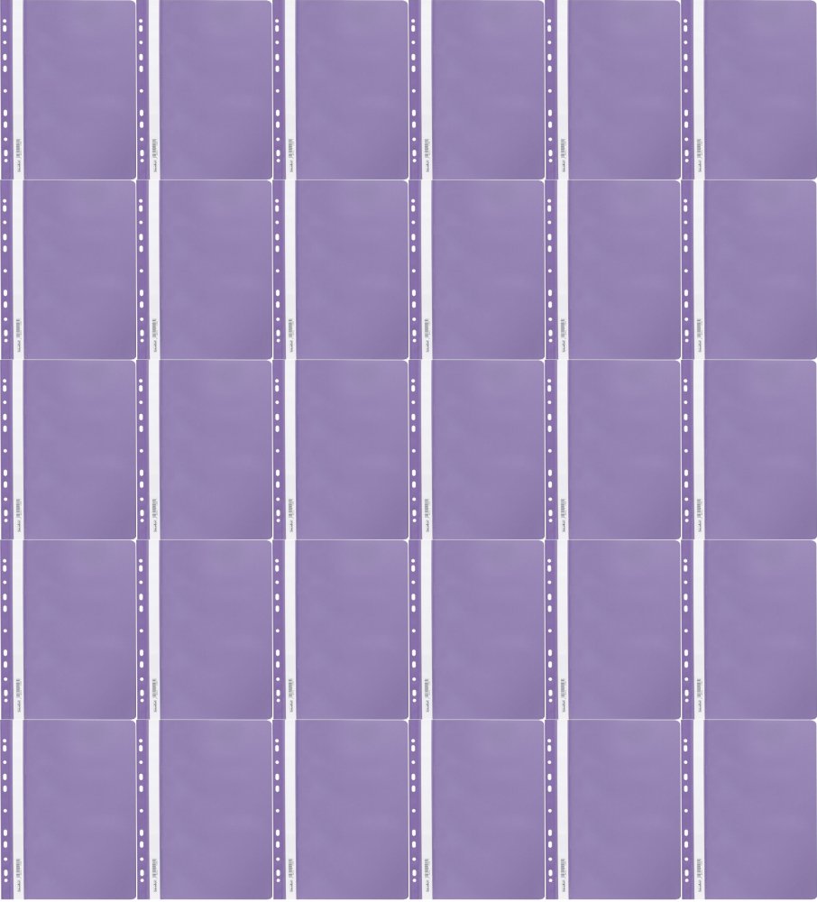 260x Skoroszyt plastikowy oczkowy Biurfol, miękki, A4, fioletowy