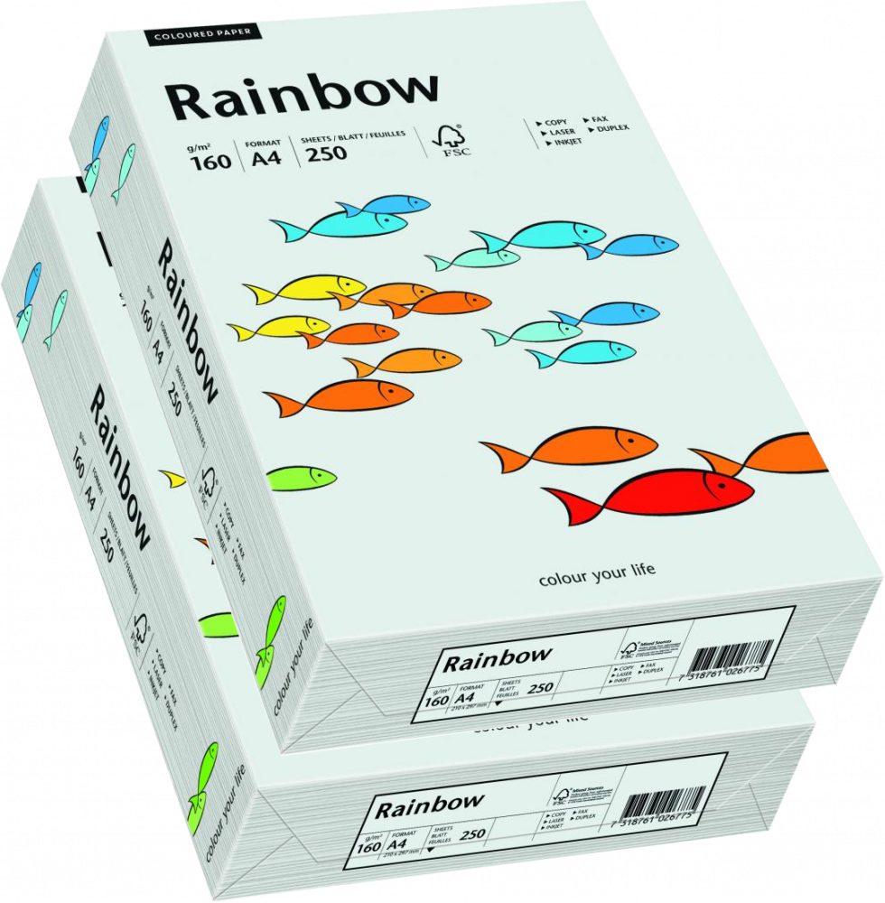 2x Papier ksero ekologiczny Rainbow, A4, 160g/m2, 250 arkuszy, jasny szary (R93)