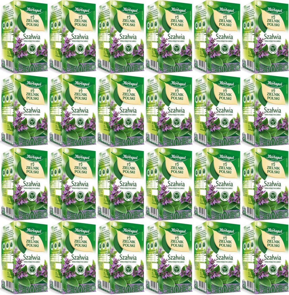 24x Herbata ziołowa w torebkach Herbapol, Zielnik Polski, szałwia, 20 sztuk x 1.2g