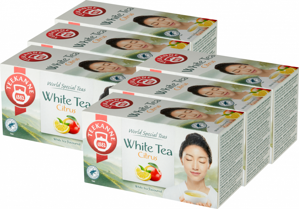6x Herbata biała smakowa w kopertach Teekanne White Tea Citrus, cytryna i mango, 20 sztuk x 1.25g