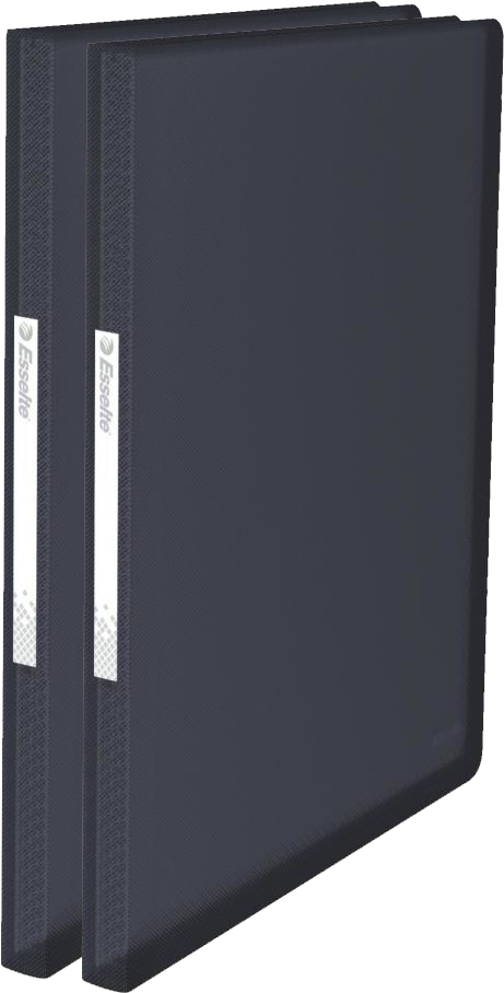 2x Album ofertowy Esselte Vivida, A4, 60 koszulek, czarny