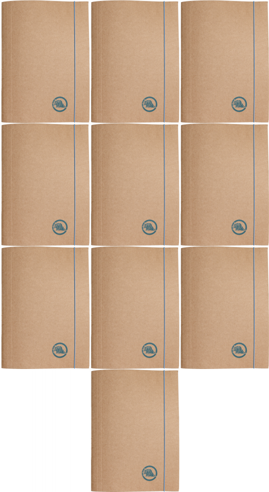 10x Teczka kartonowa z gumką Barbara Eco, A4+, 300g, woda