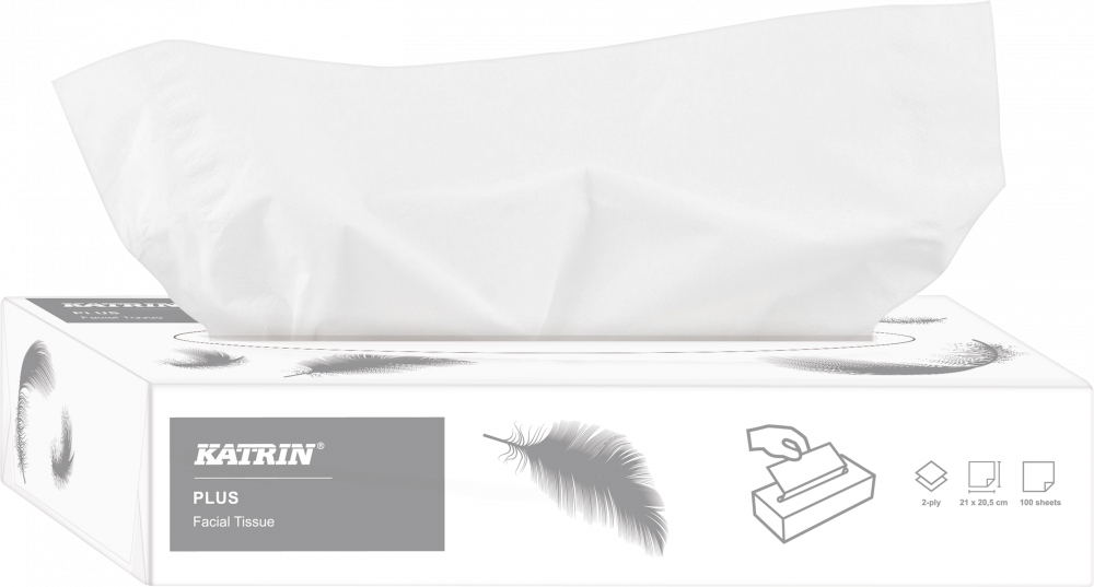 Chusteczki higieniczne Katrin 11797, jednorazowe, 100 chusteczek, w kartoniku