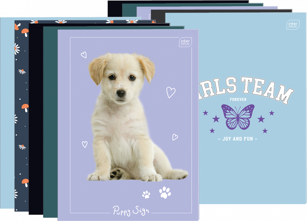 10x Zeszyt w kratkę Interdruk, A4, 32 kartki, mix wzorów