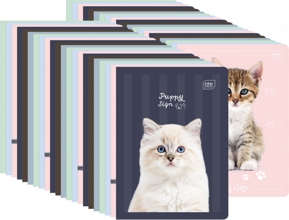 60x Zeszyt w wąskie kolorowe linie Interdruk UV Puppy Sign, A5, 16 kartek, mix wzorów