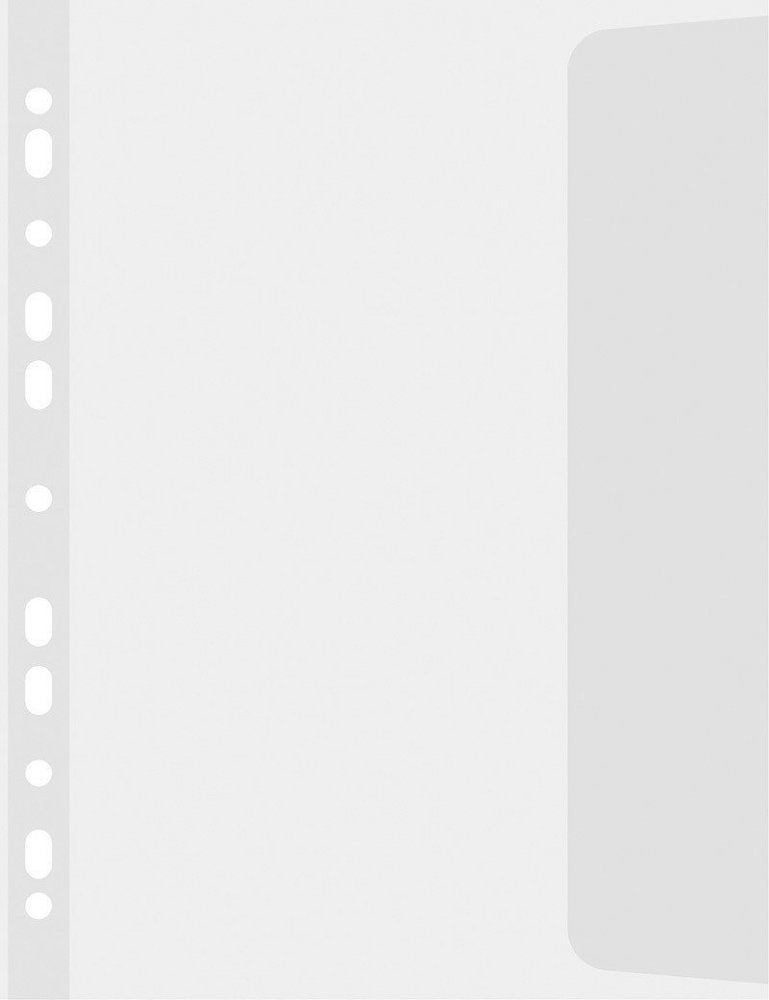 Koszulki groszkowe Biurfol, z klapką, A4, 90μm, 25 sztuk, transparentny