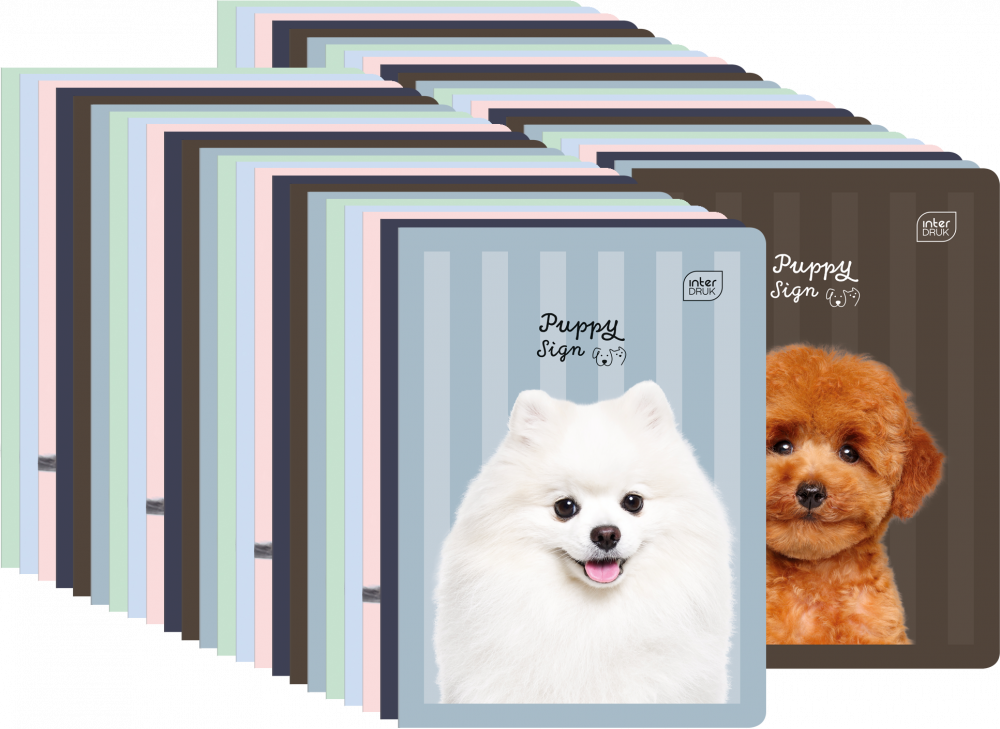 320x Zeszyt w wąskie kolorowe linie Interdruk UV Puppy Sign, A5, 16 kartek, mix wzorów