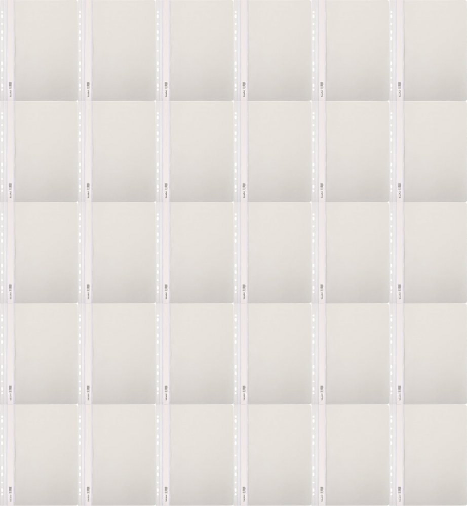 100x Skoroszyt plastikowy oczkowy Biurfol, twardy, A4, do 200 kartek, biały