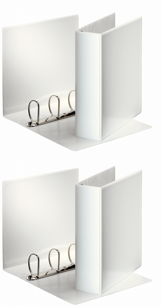 2x Segregator prezentacyjny Esselte Panorama, A4, szerokość grzbietu 85mm, do 580 kartek, 4 ringi, biały