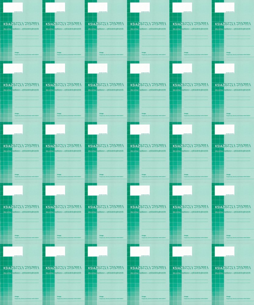 40x Druk akcydensowy Książeczka zdrowia dla celów sanitar-epidemiol. MiP 530-5, A6,offsetowy,8k