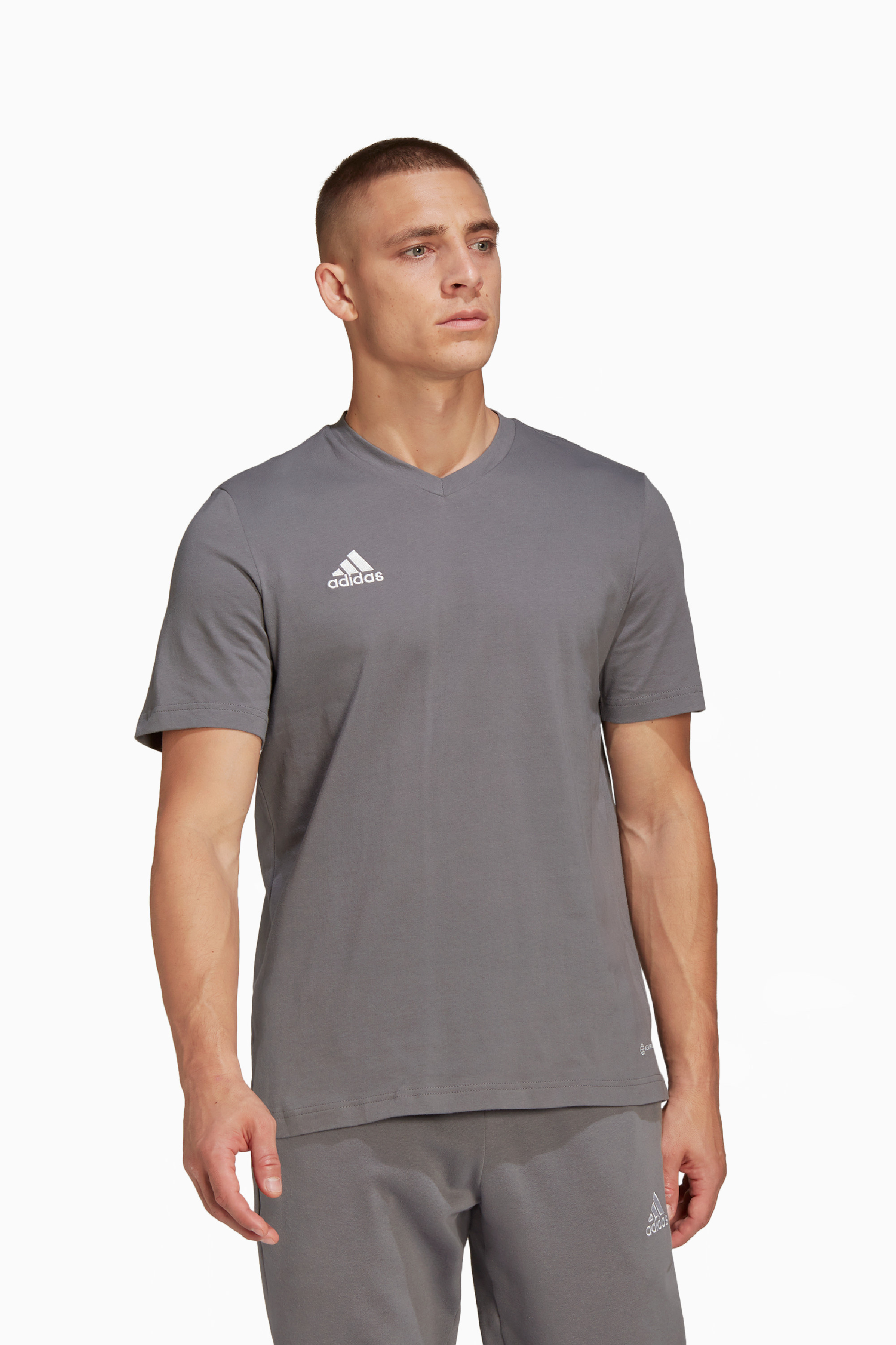 Koszulka adidas Entrada 22 Tee - Szary