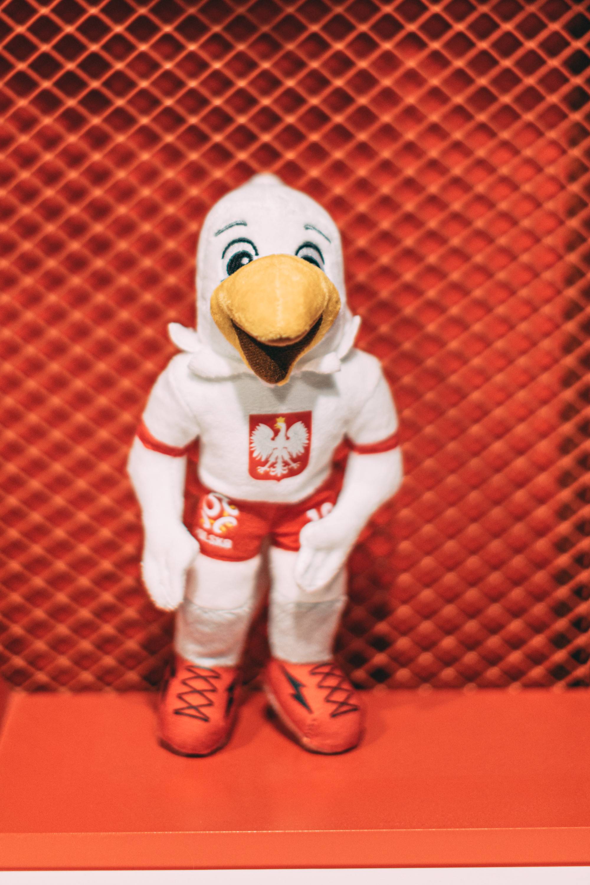 Orzeł Bielik PZPN - Biały