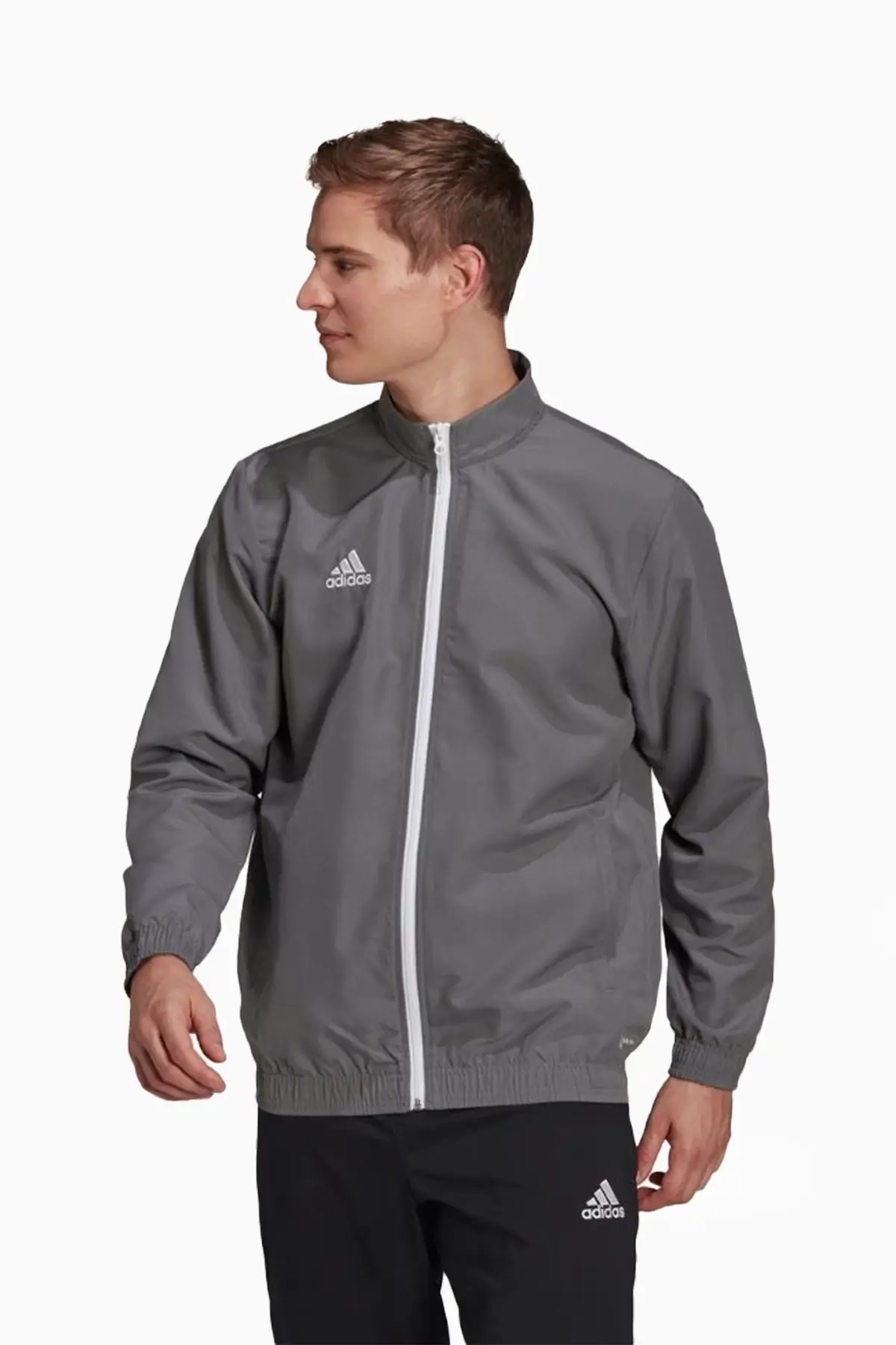 Bluza adidas Entrada 22 Presentation - Szary