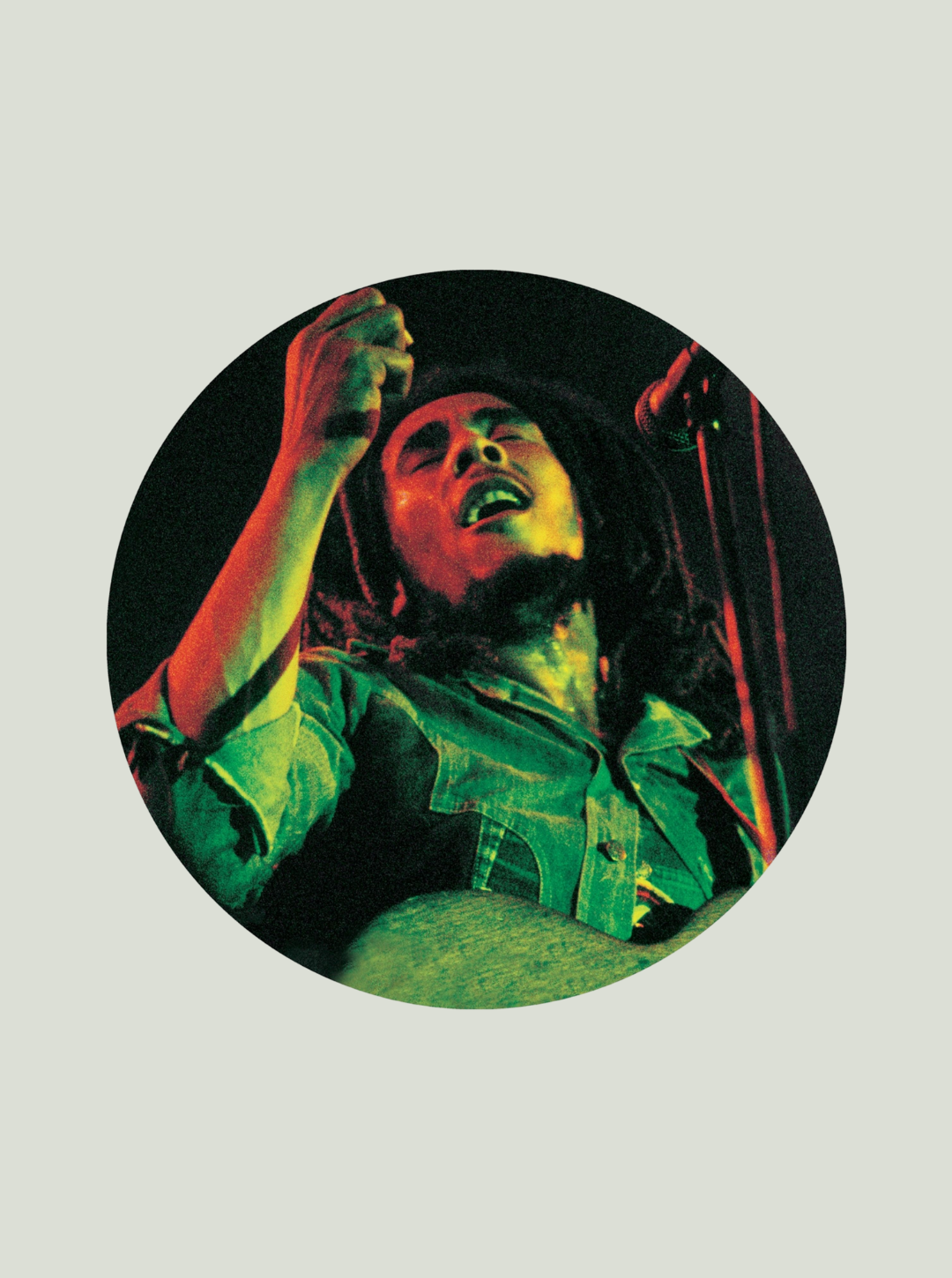 Płyta winylowa Bob Marley - The Soul Of A Rebel (Limited Edition) (Picture Disc)