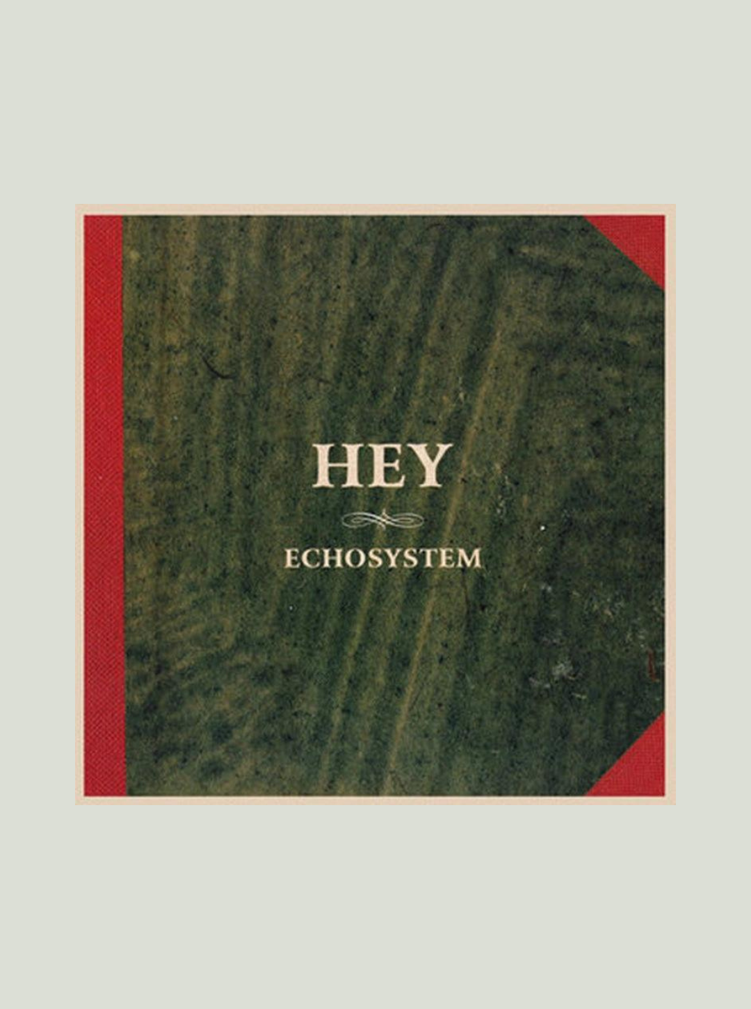 Płyta winylowa HEY - ECHOSYSTEM