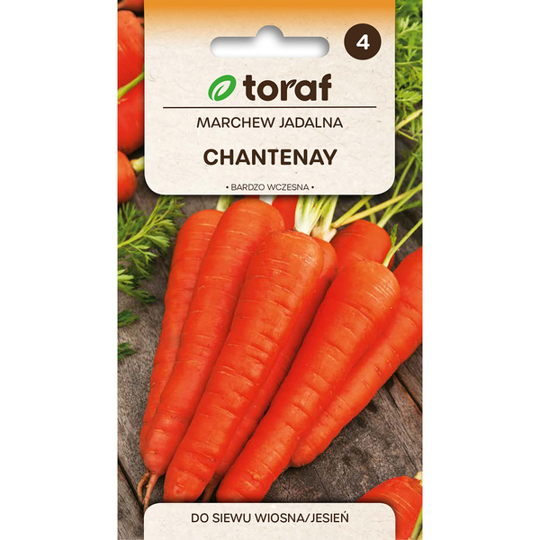 Nasiona Marchew jadalna Chantenay 5g