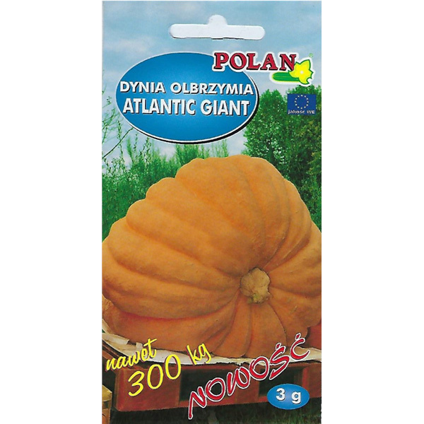 Nasiona Dynia Atlantic Giant 3g