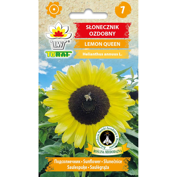Nasiona Słonecznik ozdobny Lemon Queen 2g