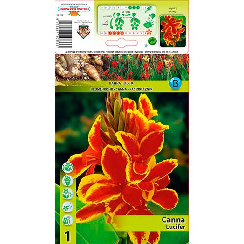 1 cib, Kana Lucifer - : Monžstvo balíkov: 1 cib