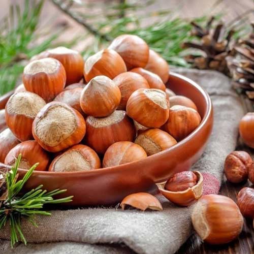 1 saz, Líska Kuban - : Monžstvo balíkov: 1 saz