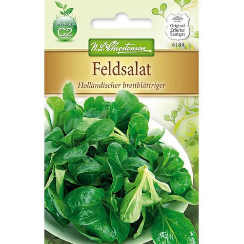 1 ob, Polní salát Hollandischer breitblattriger - : Monžstvo balíkov: 1 ob