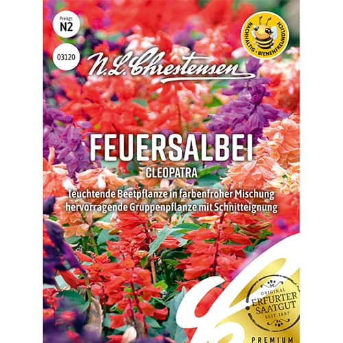 1 ob, Šalvěj zářivá Kleopatra, směs - : Monžstvo balíkov: 1 ob