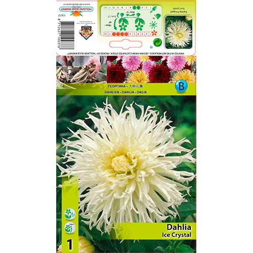 1 cib, Jiřina Ice Crystal - : Monžstvo balíkov: 1 cib