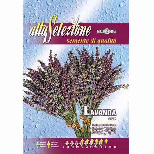 1 szt, Levendula - Magok: Mod de ambalare: 1 db