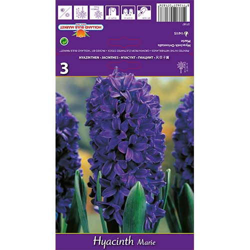 3 db, Jácint Marie - Hagymák: Mod de ambalare: 3 db