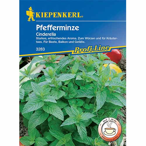 1 szt, Pfefferminze Conderella - Samen: Ilość w opakowaniu: 1 Stück
