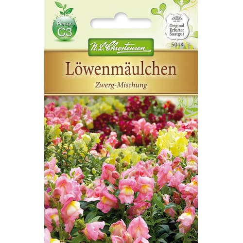 1 szt, Löwenmäulchen Zwerg - Mischung - Samen: Ilość w opakowaniu: 1 Stück