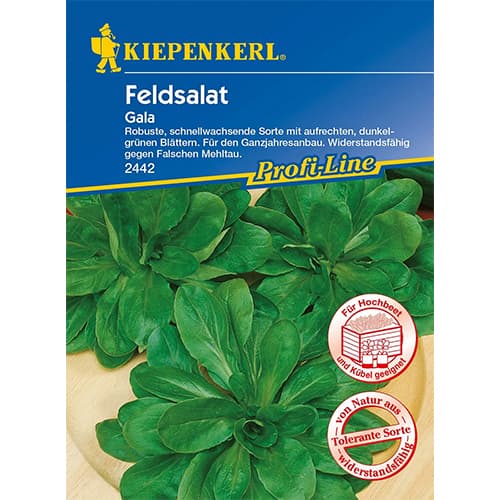 1 szt, Feldsalat Gala - Samen: Ilość w opakowaniu: 1 Stück