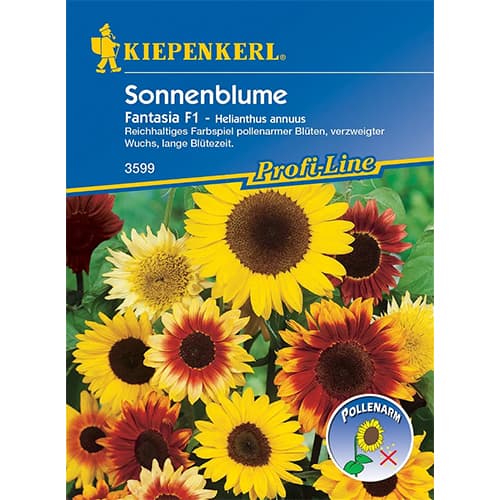 1 szt, Sonnenblume Fantasia F1 - Samen: Ilość w opakowaniu: 1 Stück