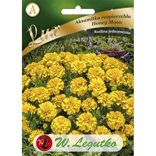 1 szt, Studentenblume Honey Monn gelb - Samen: Ilość w opakowaniu: 0.5 g