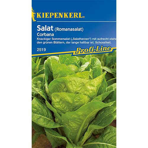 1 szt, Romansalat Corbana - Samen: Ilość w opakowaniu: 1 Stück